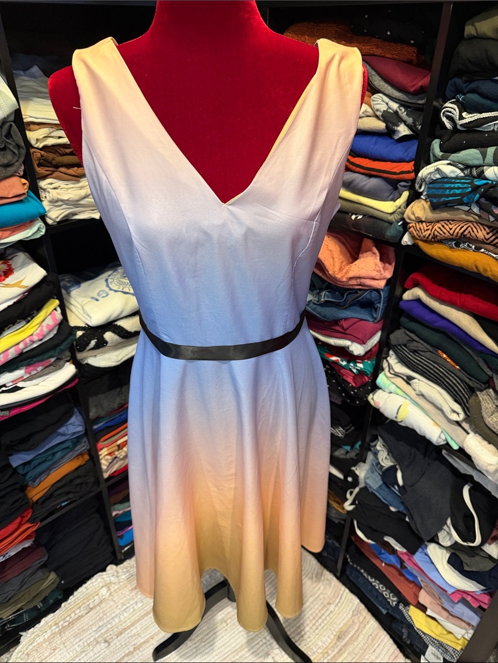 #592. 🪷 ombré dress.  Large